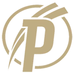 puskás akadémia android application logo